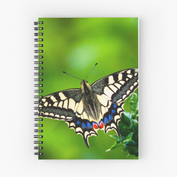 Artikelvorschau, Schwalbenschwanz-Schmetterling entworfen und verkauft von andyroberts64.