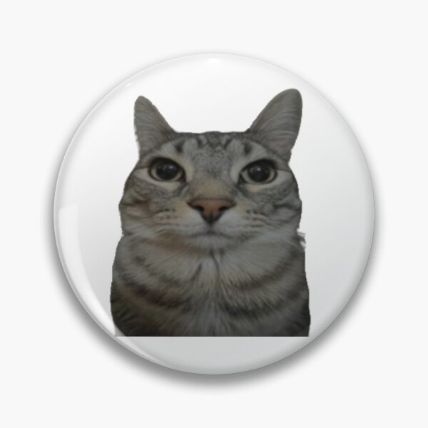 Aperçu de l'œuvre Réaction TikTok au mème du chat créée et vendue par Ashweed.