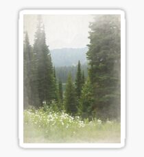 Old Growth Forest Sticker
