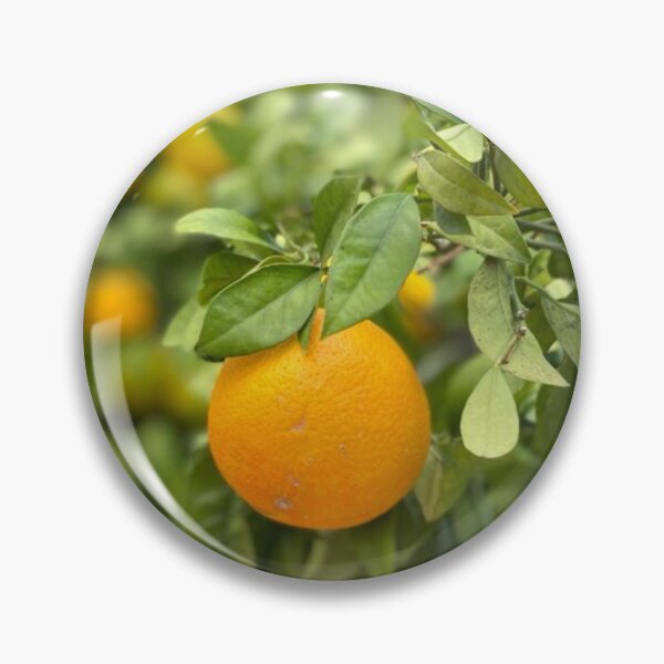 Item preview, Citrus sinensis designed and sold by Wild-Wild-Berry.