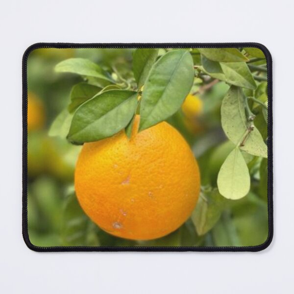 Artikelvorschau, Citrus sinensis entworfen und verkauft von Wild-Wild-Berry.