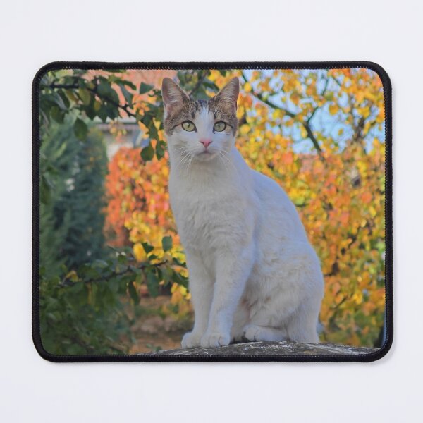 Item preview, Autumn Cat Vibes designed and sold by MB-CatPrints.