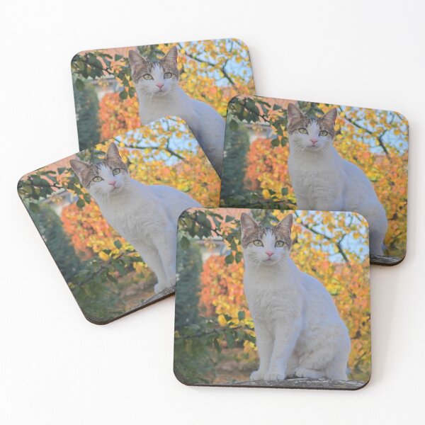 Item preview, Autumn Cat Vibes designed and sold by MB-CatPrints.