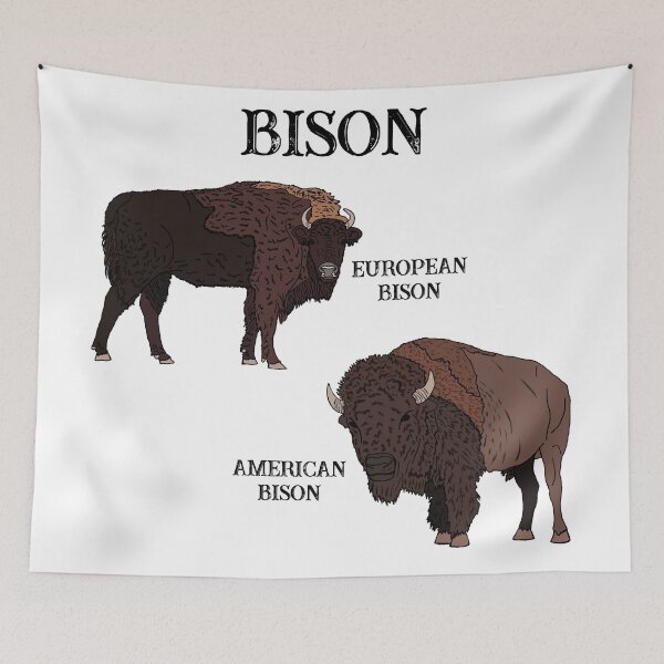 Item preview, Bison designed and sold by GraceT26.