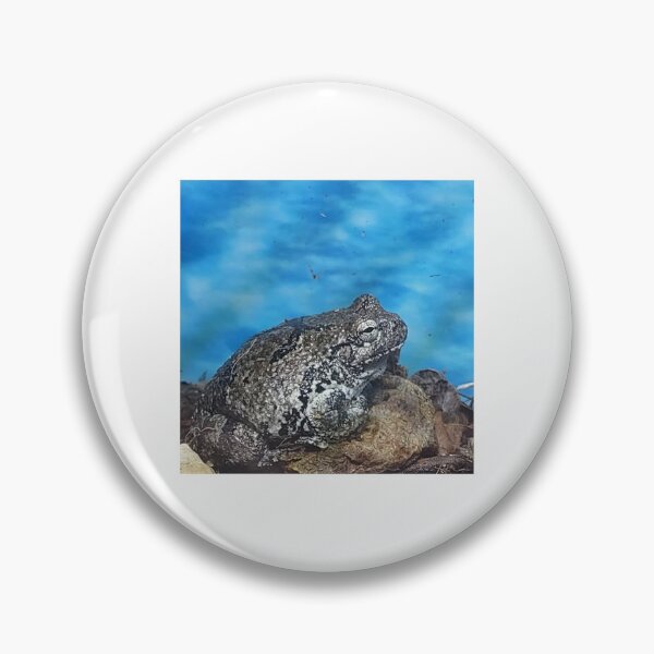 Item preview, Great Northern Toad designed and sold by Stardragon135.