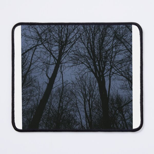 Item preview, Silhouette Trees In A Blue Night Sky Photographic Print designed and sold by Mother-Nature65.
