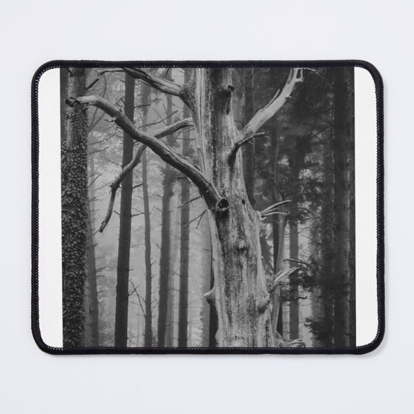 Item preview, Dead and Dying Forest Trees Black and White Photographic Print designed and sold by Mother-Nature65.
