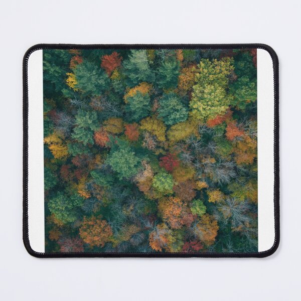 Item preview, Colourful Trees Aerial View Photographic Print designed and sold by Mother-Nature65.