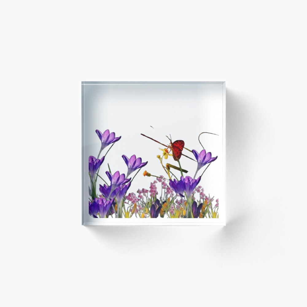 Item preview, Acrylic Block designed and sold by StacksWeb.