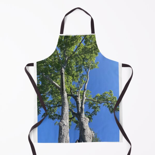 Item preview, Tall Green Trees Bright Blue Sky Photographic Print designed and sold by Mother-Nature65.