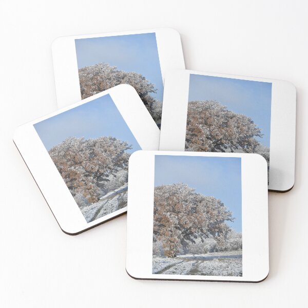 Artikelvorschau, Winter-Szene mit schneebedeckten Bäumen und blauem Himmel Fotodruck entworfen und verkauft von Mother-Nature65.