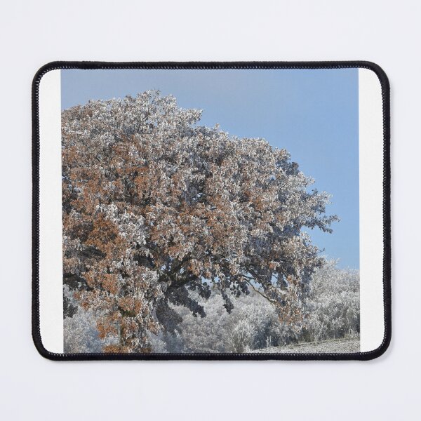 Item preview, Winter Snowy Trees Blue Sky Scene Photographic Print designed and sold by Mother-Nature65.