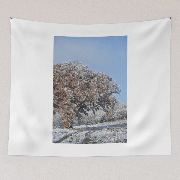 Artikelvorschau, Winter-Szene mit schneebedeckten Bäumen und blauem Himmel Fotodruck entworfen und verkauft von Mother-Nature65.