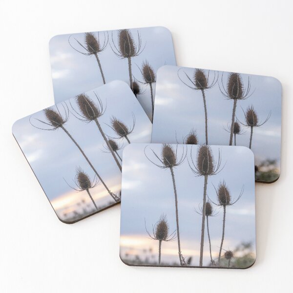 Item preview, Dried Teasel Silhouette Against Twilight Sky designed and sold by Greysline.