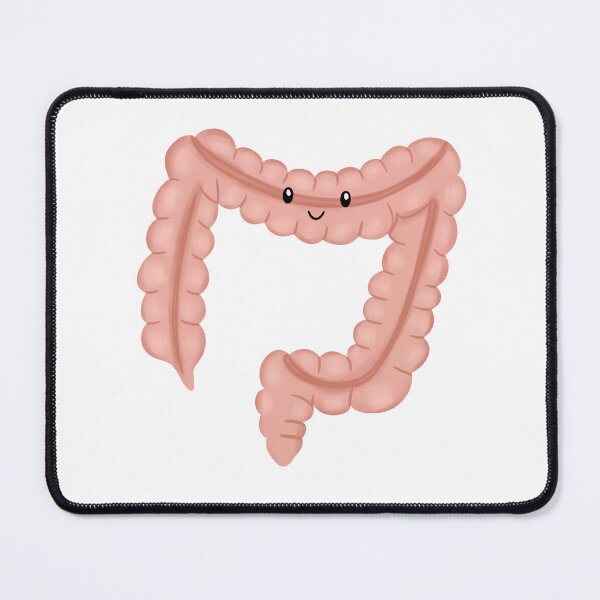 Item preview, Large intestines designed and sold by Adaptixstudio.