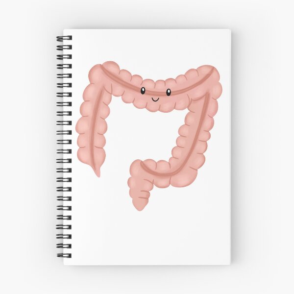 Item preview, Large intestines designed and sold by Adaptixstudio.