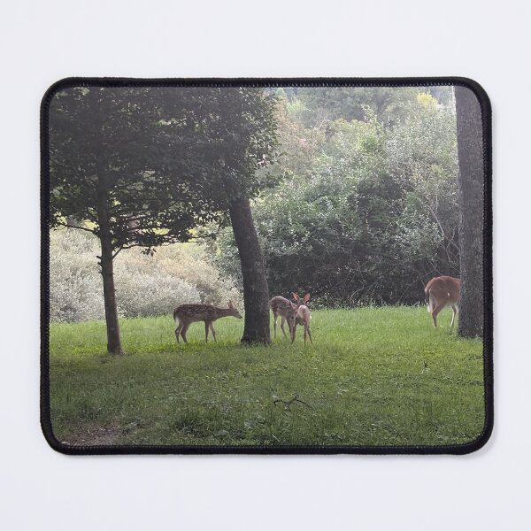 Item preview, Summer Meadow Visitors designed and sold by NoRagetsArt.