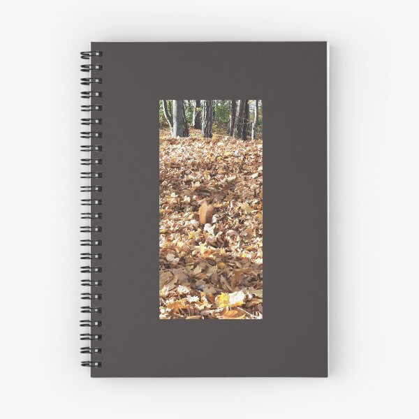 Item preview, autumn, leaves autumn, leaves, tree, squirrel, nature, park designed and sold by colorgallery11.