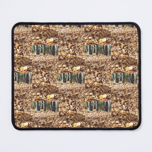Item preview, autumn, leaves autumn, leaves, tree, squirrel, nature, park designed and sold by colorgallery11.
