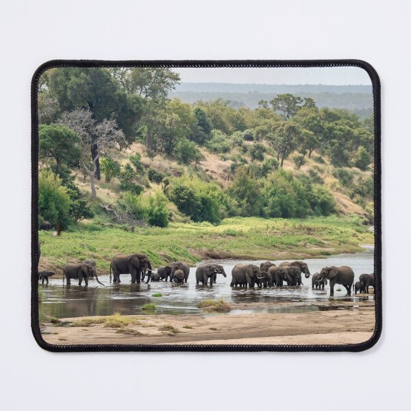 Item preview, Elephant herd at the river, African family on the move. V2 designed and sold by DavideAntoniani.