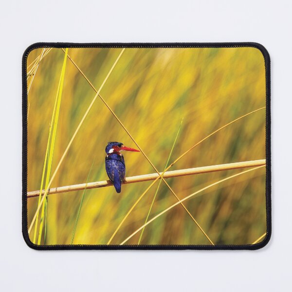 Item preview, The Flying Jewel designed and sold by Kay Brewer.