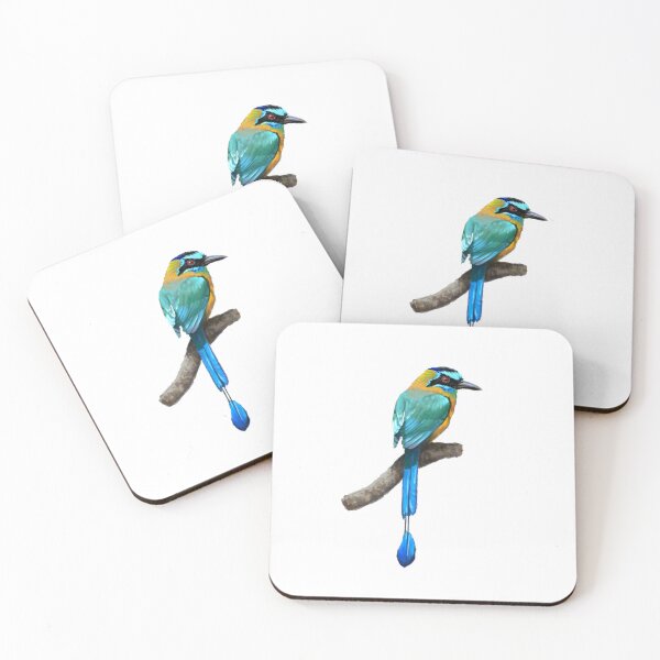 Item preview, Lessons Motmot Illustration Alvaro Miranda Boquete Panama designed and sold by Alvaro-Miranda.
