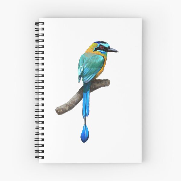 Item preview, Lessons Motmot Illustration Alvaro Miranda Boquete Panama designed and sold by Alvaro-Miranda.