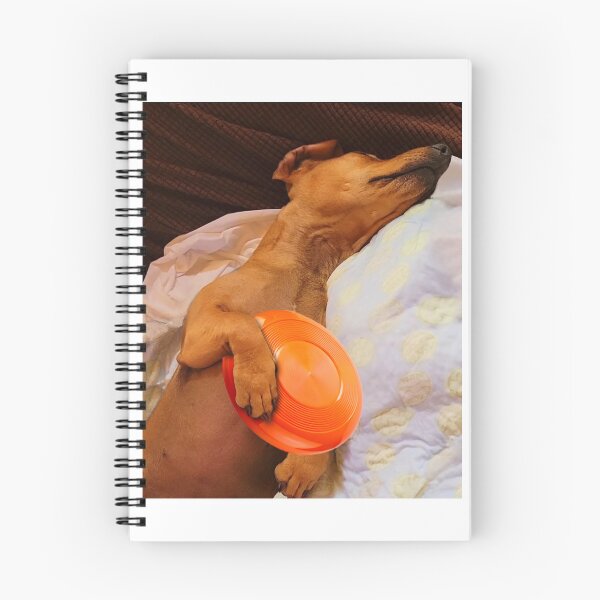 Item preview, Disc Dachshund - Disc Dreaming - Living the Dream designed and sold by tortillahunters.