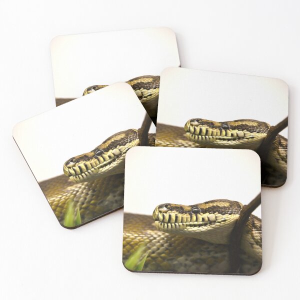 Item preview, Magnificent Python – Side View Full of Presence / Swiss Artwork Photography designed and sold by Raphael Wolf.