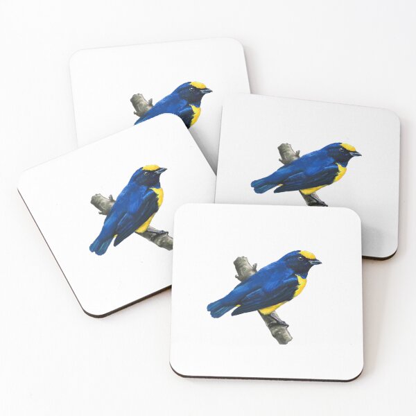 Item preview, Euphonia Illustration Alvaro Miranda Boquete Panama designed and sold by Alvaro-Miranda.