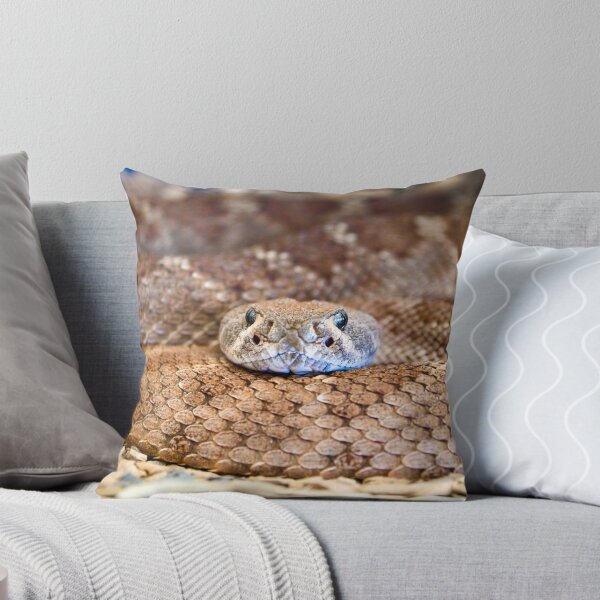 Item preview, Winding snake body – Silvery gaze full of tension / Swiss Artwork Photography designed and sold by Raphael Wolf.