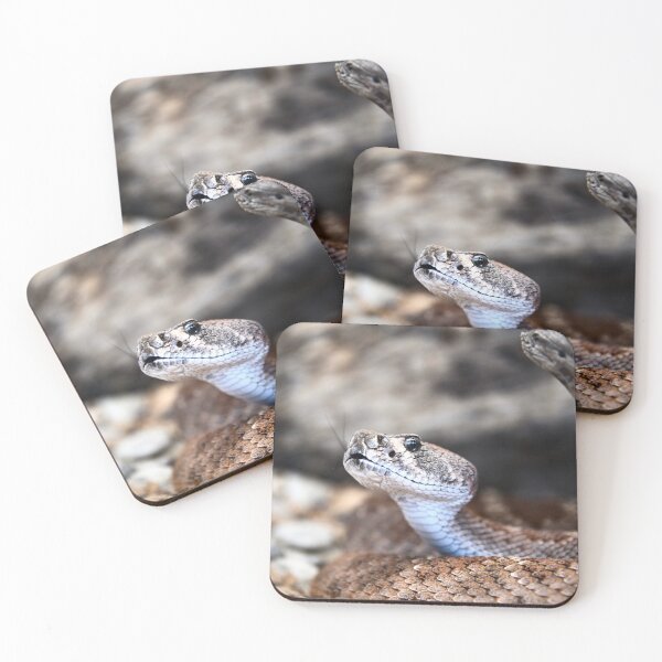 Item preview, Dangerous Snake – Focus on Gaze and Tongue / Swiss Artwork Photography designed and sold by Raphael Wolf.