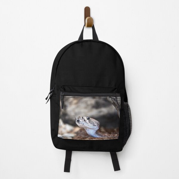 Item preview, Dangerous Snake – Focus on Gaze and Tongue / Swiss Artwork Photography designed and sold by Raphael Wolf.