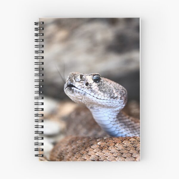 Item preview, Dangerous Snake – Focus on Gaze and Tongue / Swiss Artwork Photography designed and sold by Raphael Wolf.