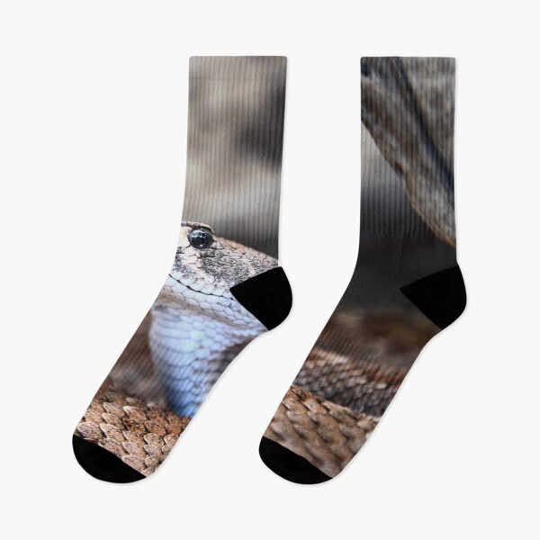 Item preview, Dangerous Snake – Focus on Gaze and Tongue / Swiss Artwork Photography designed and sold by Raphael Wolf.