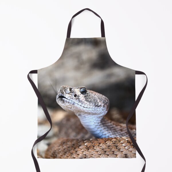 Item preview, Dangerous Snake – Focus on Gaze and Tongue / Swiss Artwork Photography designed and sold by Raphael Wolf.