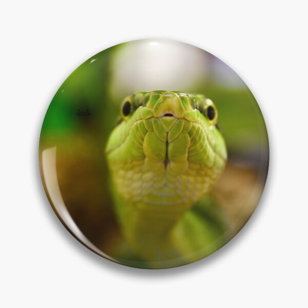 Item preview, The Kiss of the Green Snake – A Look into Both Eyes / Swiss Artwork Photography designed and sold by Raphael Wolf.