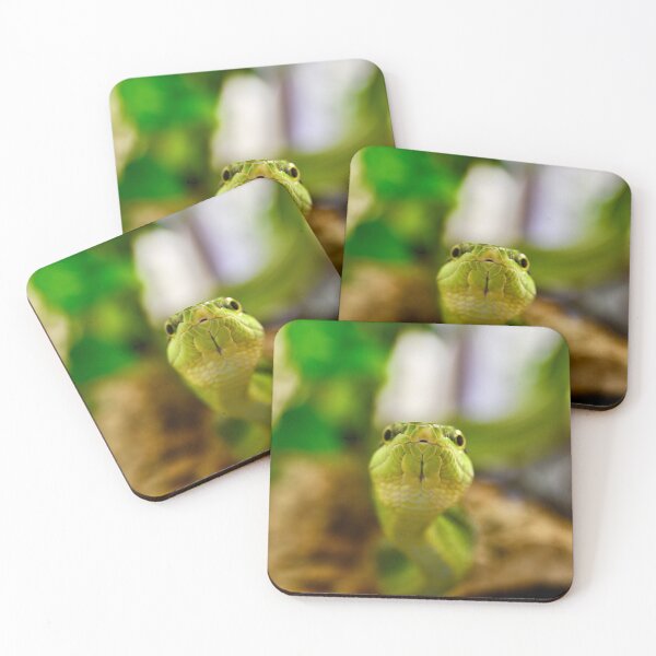 Item preview, The Kiss of the Green Snake – A Look into Both Eyes / Swiss Artwork Photography designed and sold by Raphael Wolf.
