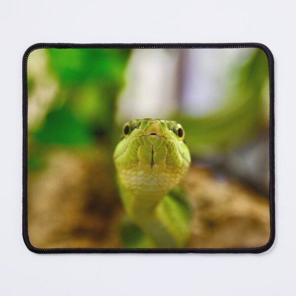 Item preview, The Kiss of the Green Snake – A Look into Both Eyes / Swiss Artwork Photography designed and sold by Raphael Wolf.