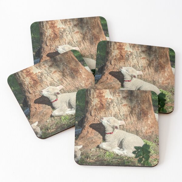 Item preview, Peaceful Baby Lamb Resting by a Sunlit Eucalyptus Tree designed and sold by Photogenic Snap.