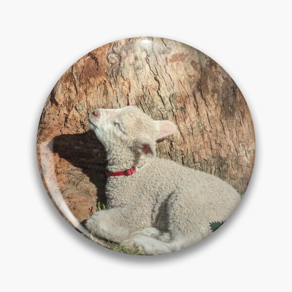 Item preview, Peaceful Baby Lamb Resting by a Sunlit Eucalyptus Tree designed and sold by Photogenic Snap.