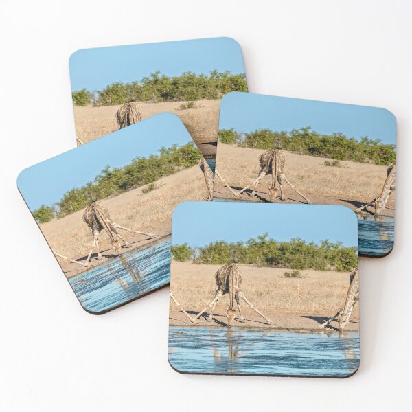 Item preview, Graceful Giraffes in Sync — Three Drinking at the Waterhole, Etosha designed and sold by DavideAntoniani.