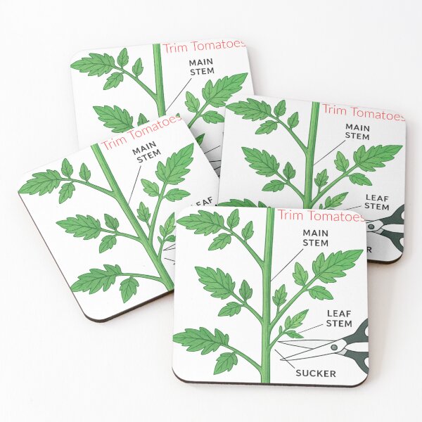 Item preview, Tomato Pruning 101: How to Trim Suckers for Better Harvest designed and sold by daweave77.