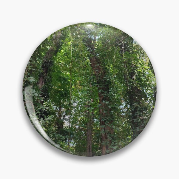 Item preview, Green forest jungle with a lot trees designed and sold by Claraveritas.