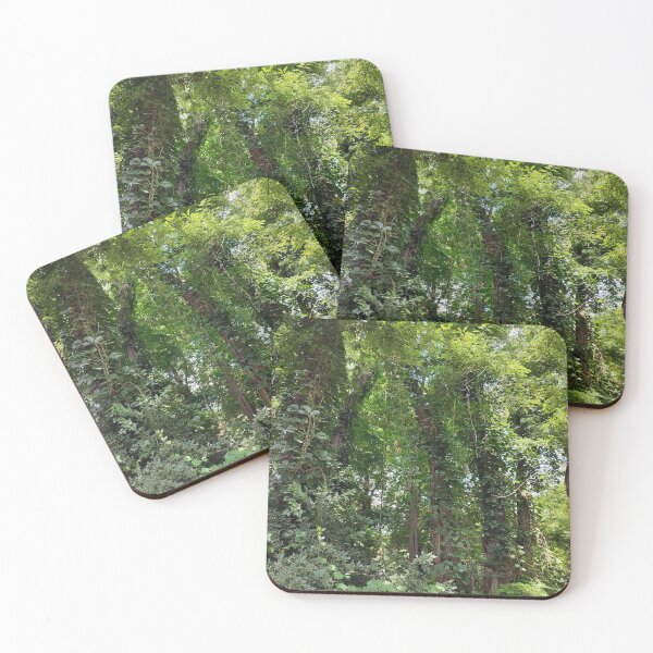 Item preview, Green forest jungle with a lot trees designed and sold by Claraveritas.