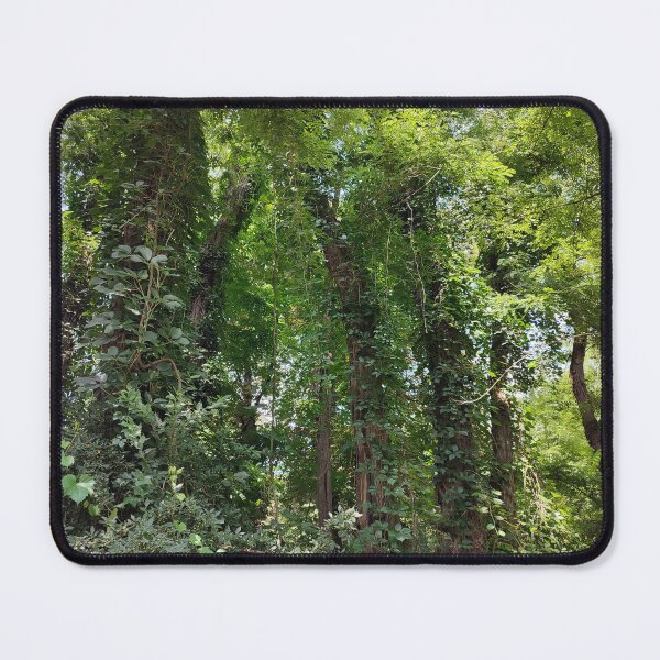 Item preview, Green forest jungle with a lot trees designed and sold by Claraveritas.
