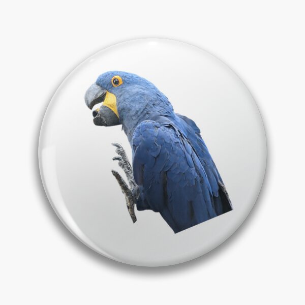 Item preview, Hyacinth macaw hanging out  designed and sold by FederalFeathers.