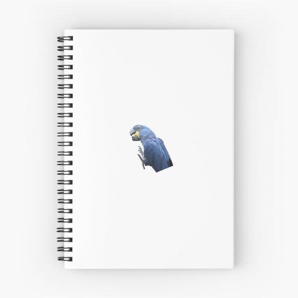 Item preview, Hyacinth macaw hanging out  designed and sold by FederalFeathers.