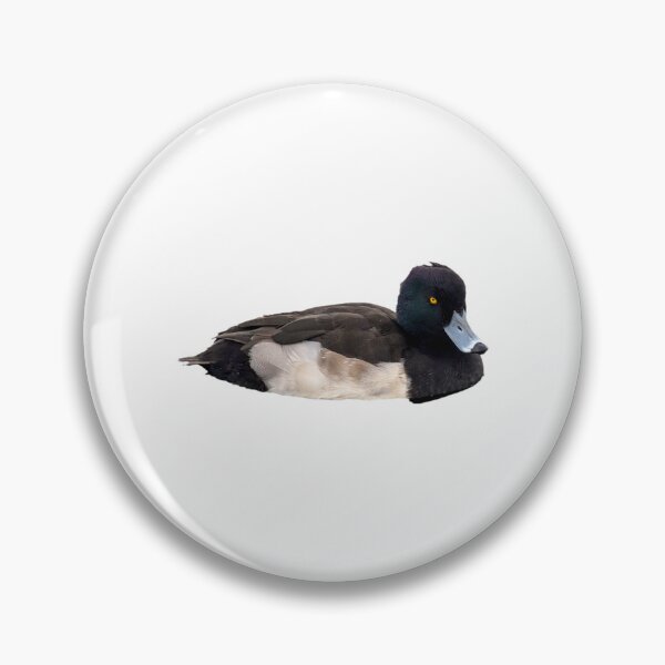 Item preview, tufted duck showing off their beautiful colors designed and sold by FederalFeathers.