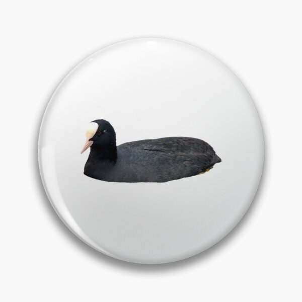 Item preview, swimming coot  designed and sold by FederalFeathers.